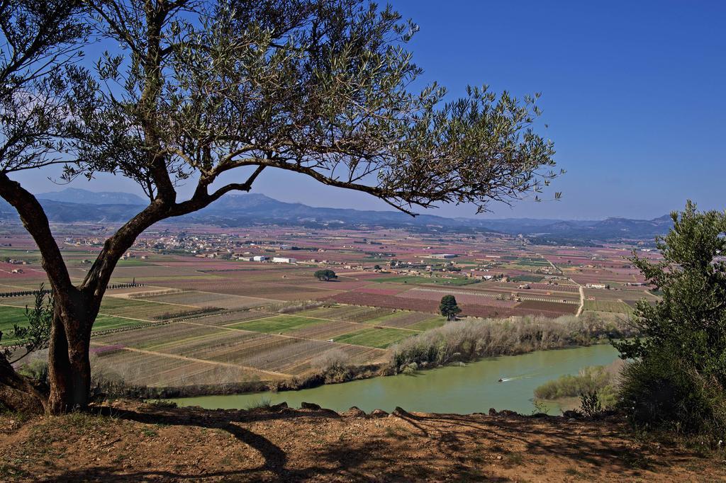 Apartamento Ca La Maria Móra d'Ebre  Exterior foto
